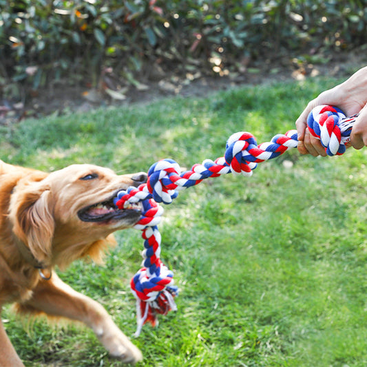 Paw Durable Chew Cotton Rope Five-Knot