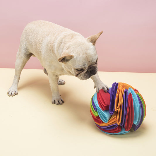 Paw Interactive Forage Snuffle Ball