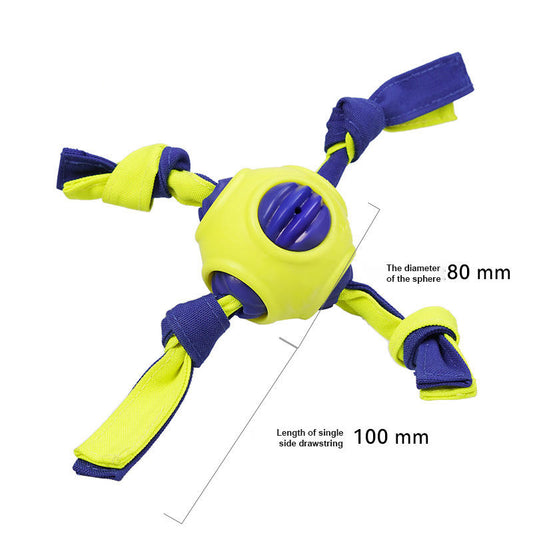 Interactive Dental Toy