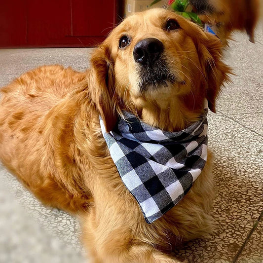 Classic Plaid Paw Bandana