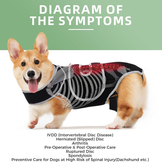 Paw Support Recovery Vest