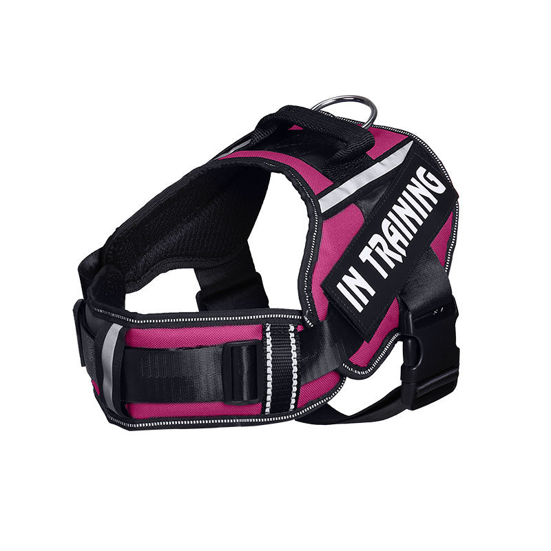 Reflective Dog Harness & Leash