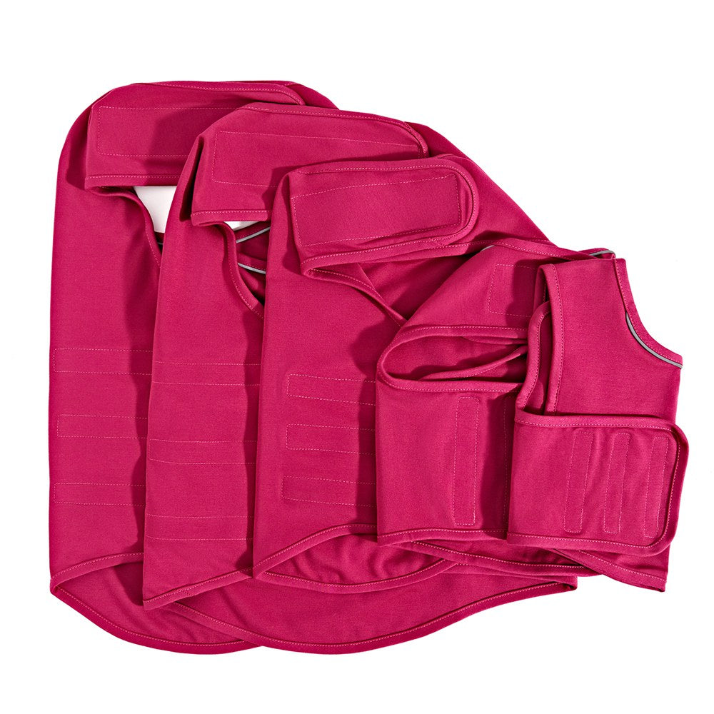 Paw Calming Anxiety Vest