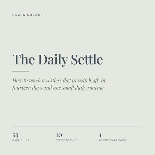 The Daily Settle Guide