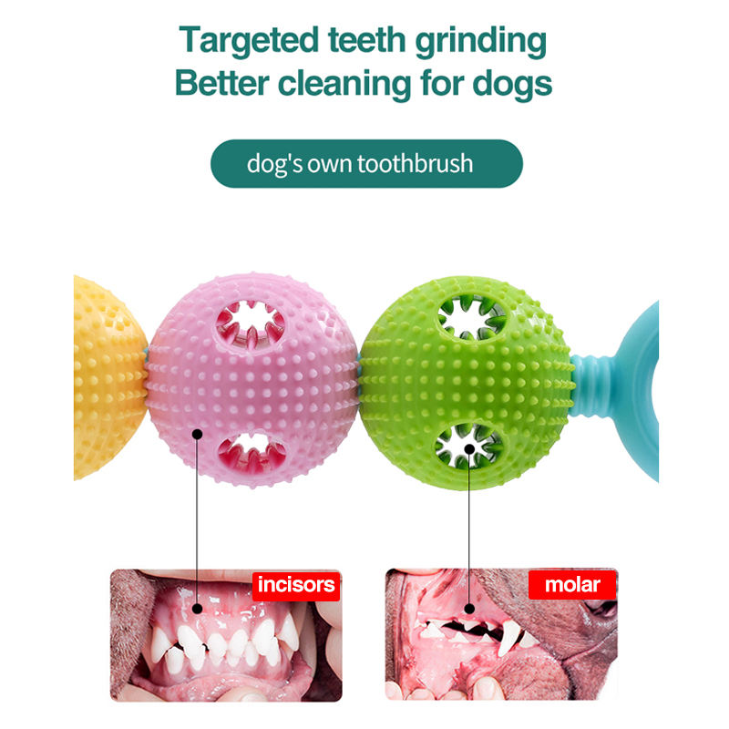 Candy Gourd Dental Paw Toy