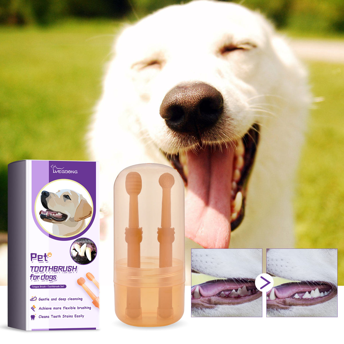 Paw Dental Brush Set