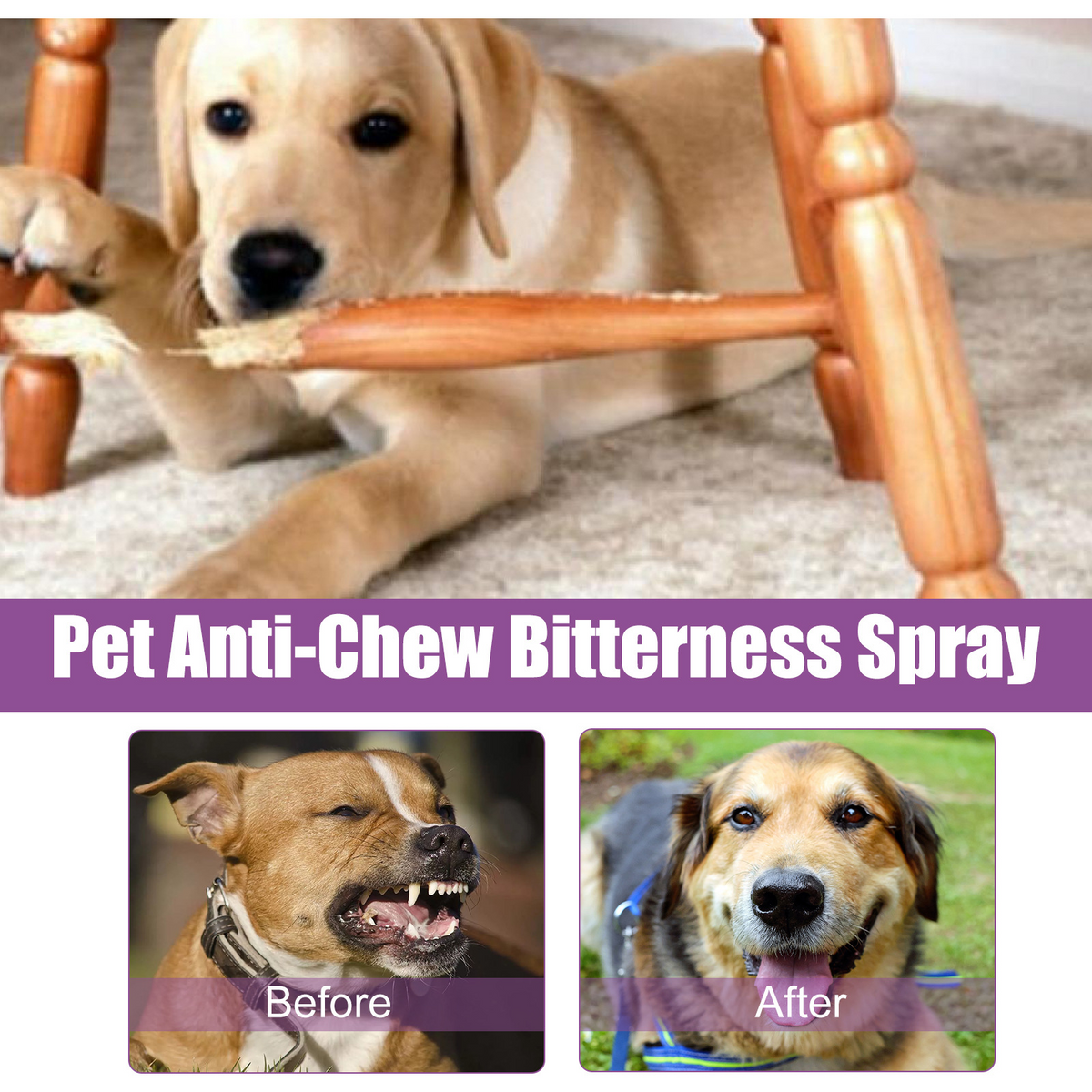 Paw Calming Spray