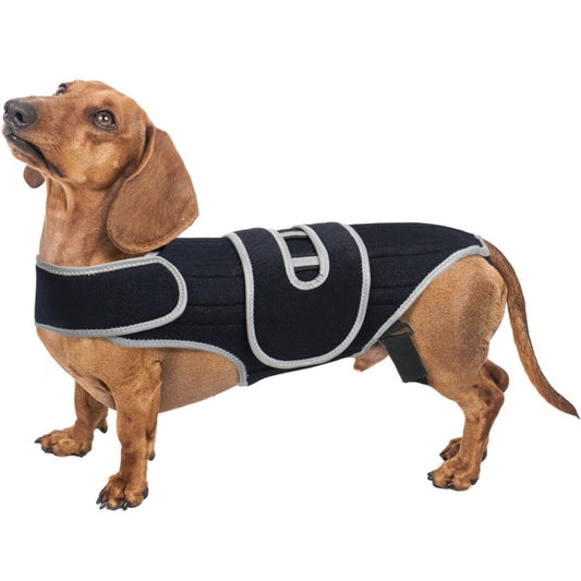 Paw Support Recovery Vest
