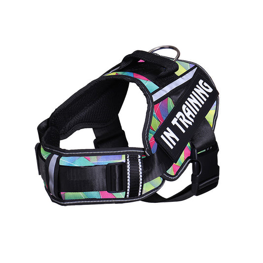 Reflective Dog Harness & Leash