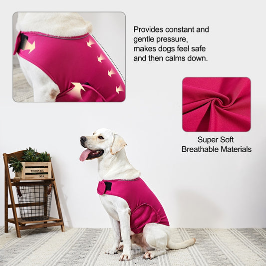 Paw Calming Anxiety Vest