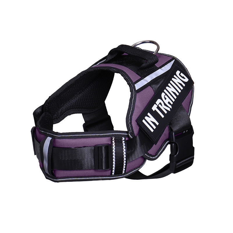 Reflective Dog Harness & Leash