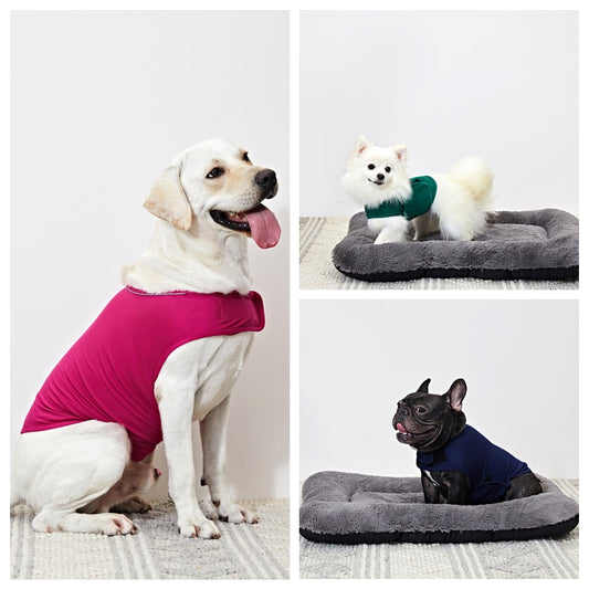 Paw Calming Anxiety Vest
