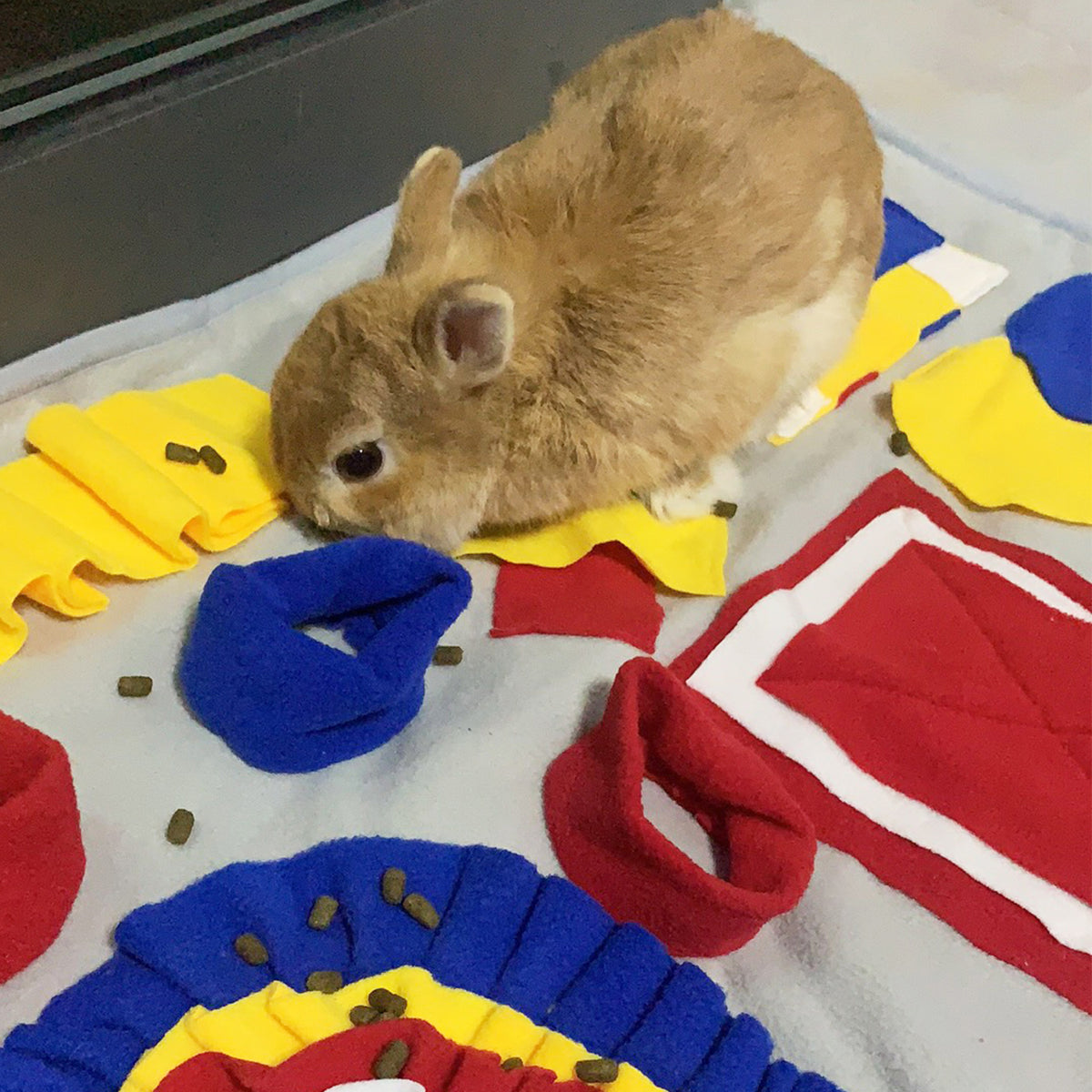 Paw Slow Food Sniffing Pad