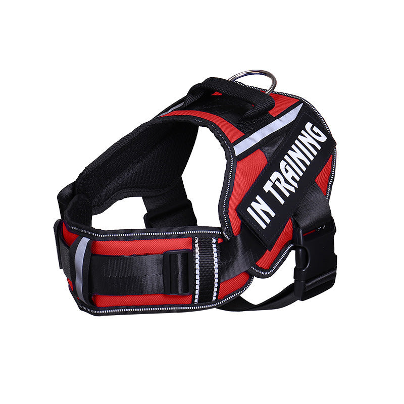 Reflective Dog Harness & Leash