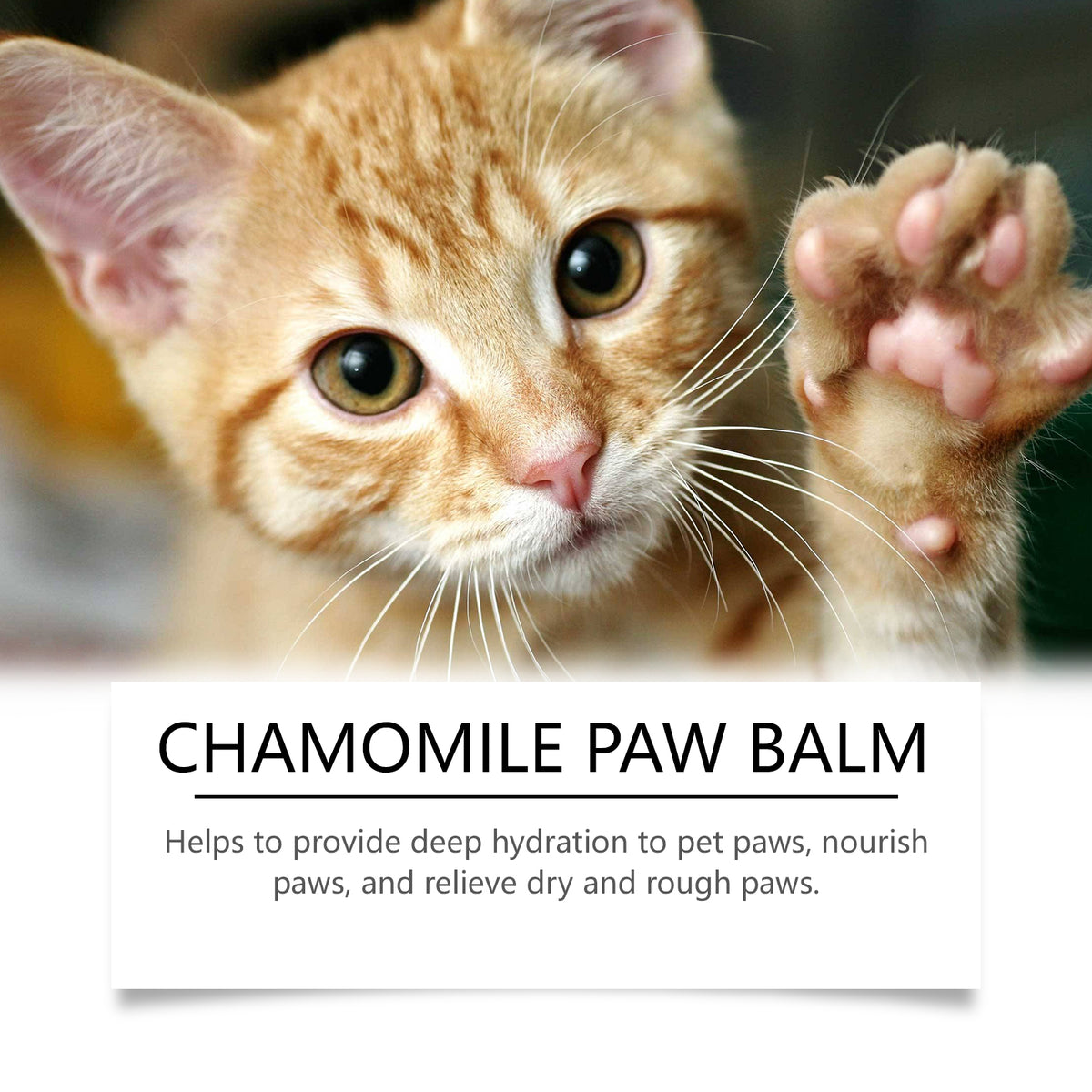 Paw Claw Care Balm