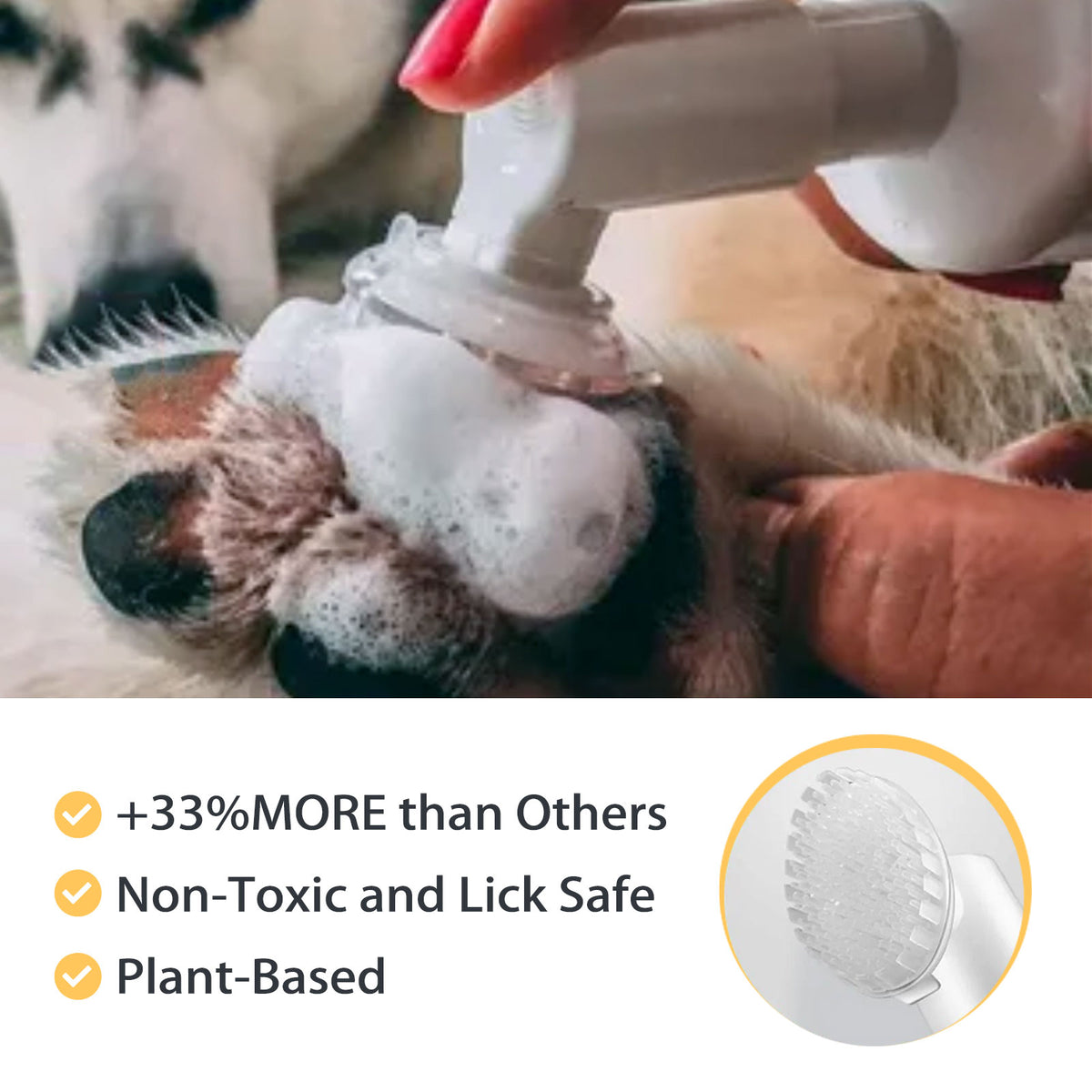 Paw Cleaner