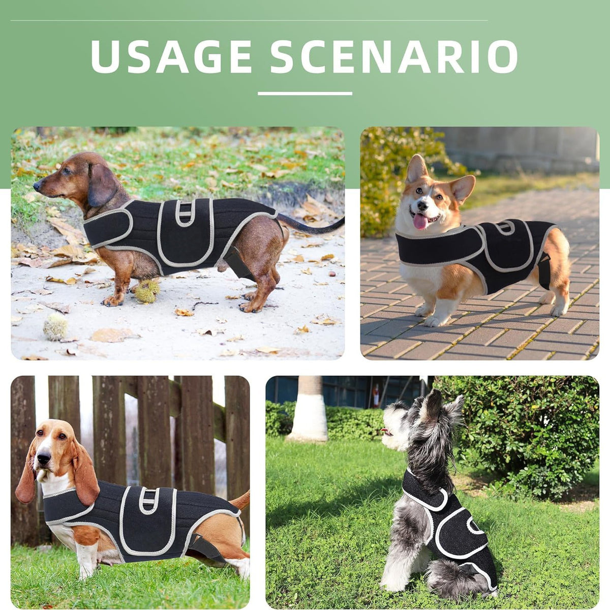 Paw Support Recovery Vest