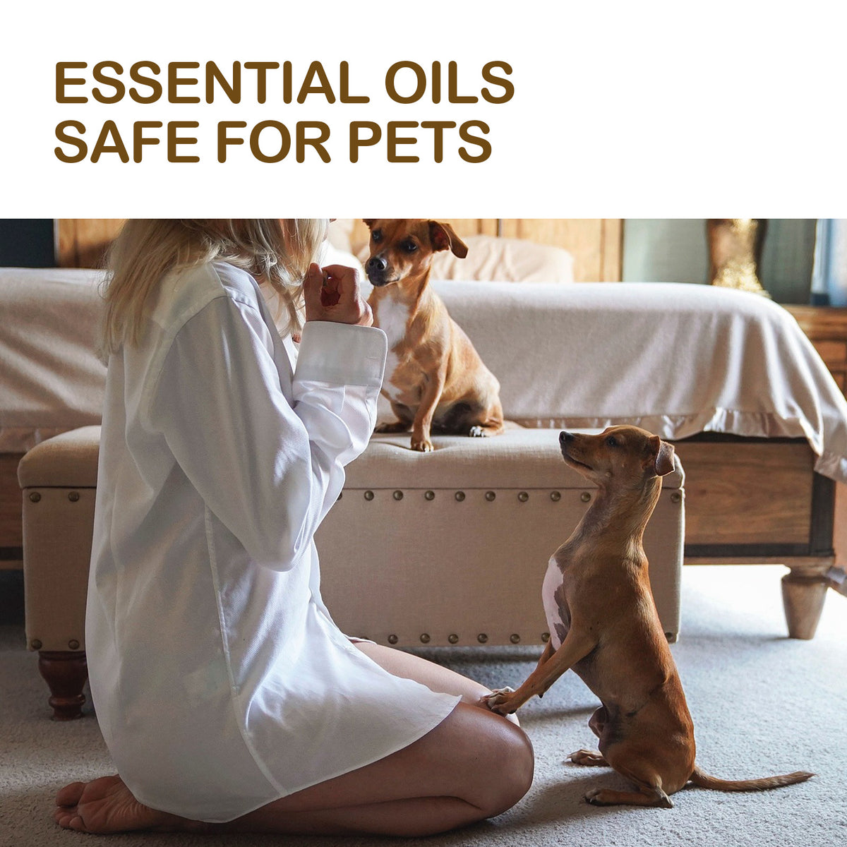 Paw Joint Care Oil