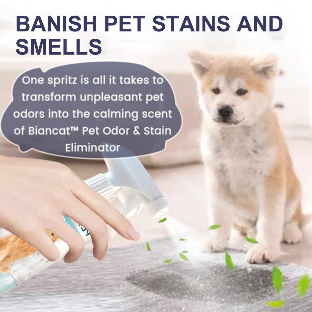 Paw Odor & Stain Eliminator