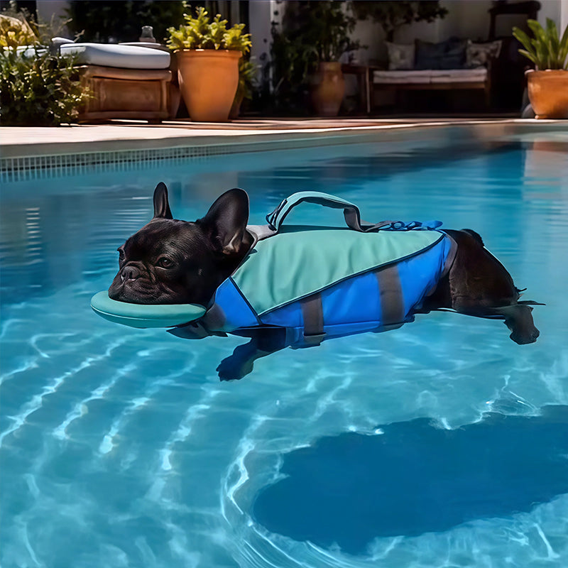 Paw Voyage Life Vest