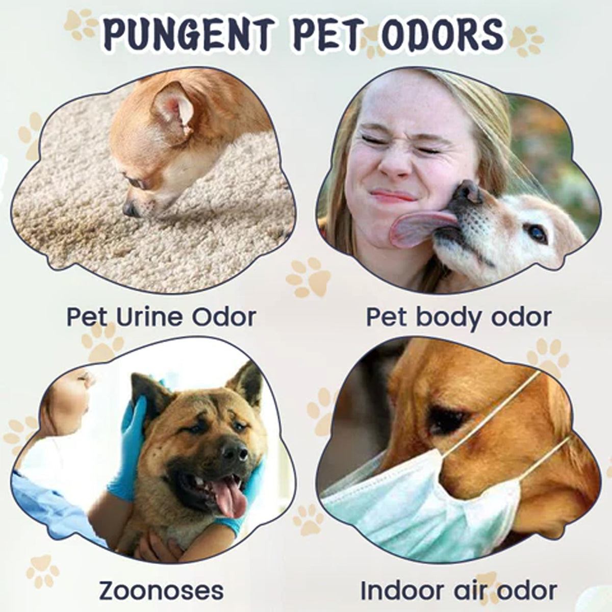 Paw Odor & Stain Eliminator