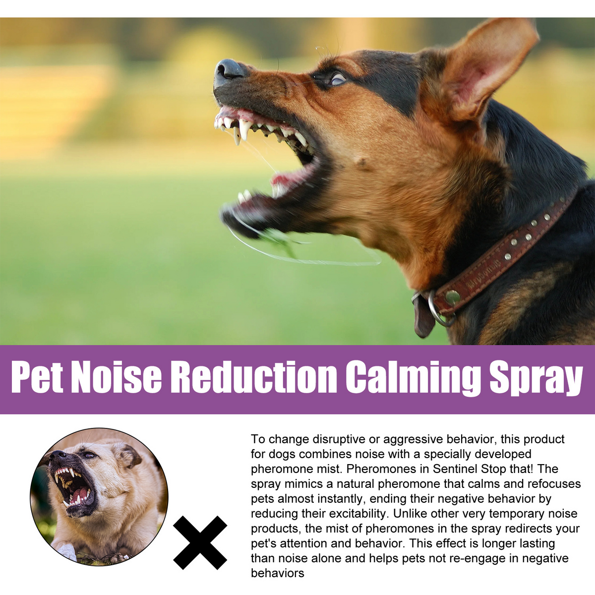 Paw Calming Spray