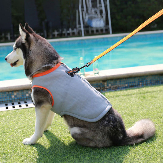 All-Season Paw Comfort Vest
