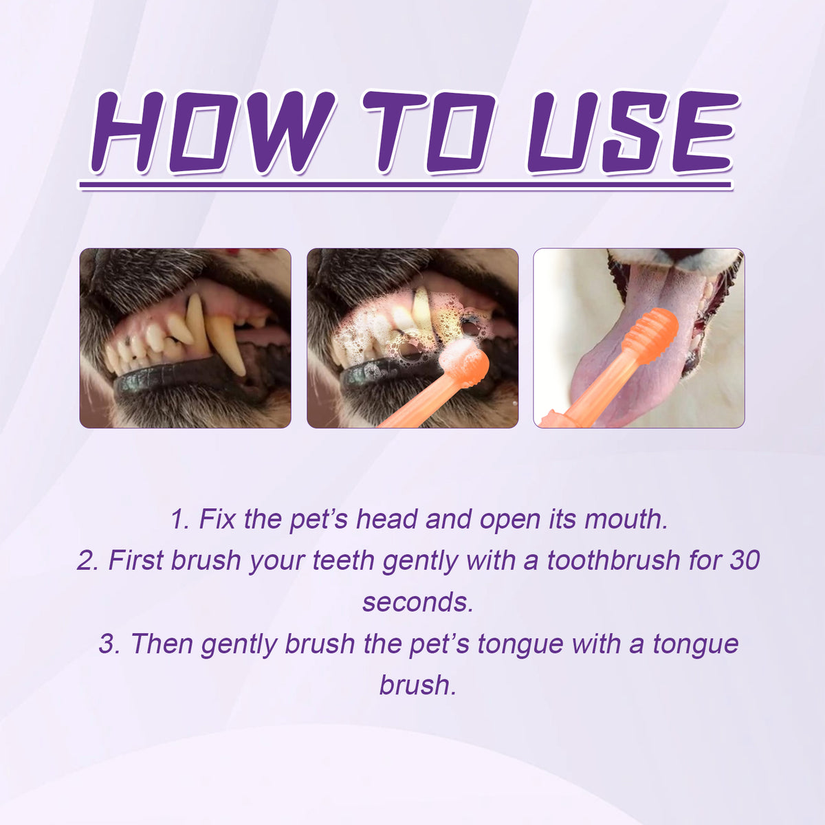 Paw Dental Brush Set