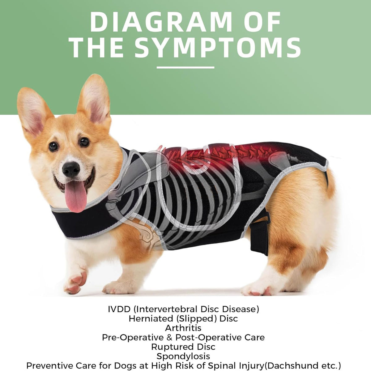 Paw Support Recovery Vest