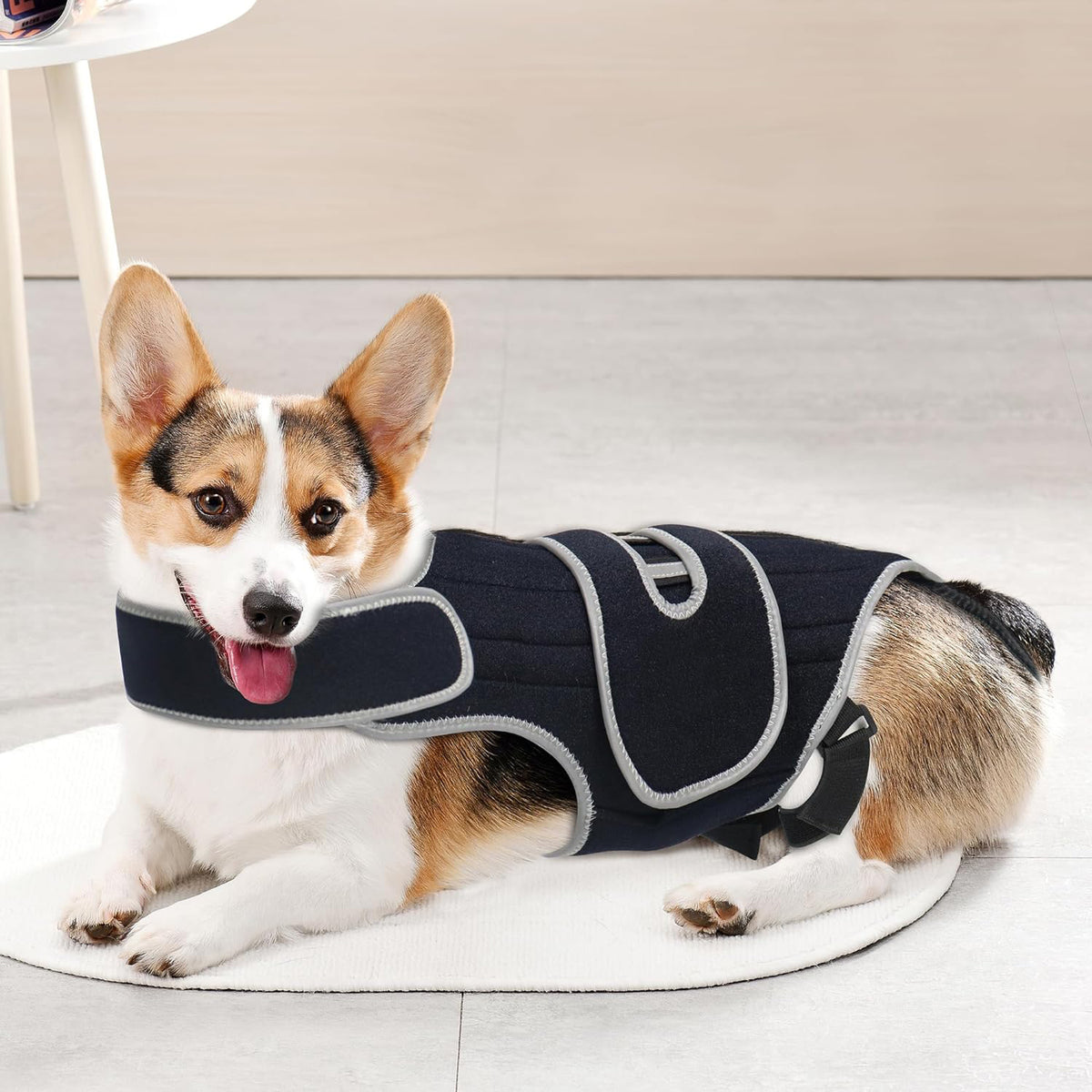 Paw Support Recovery Vest