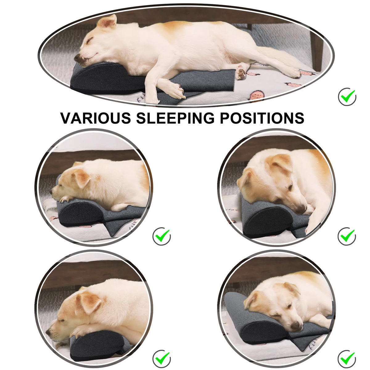 Paw Calming Comfort Pillow