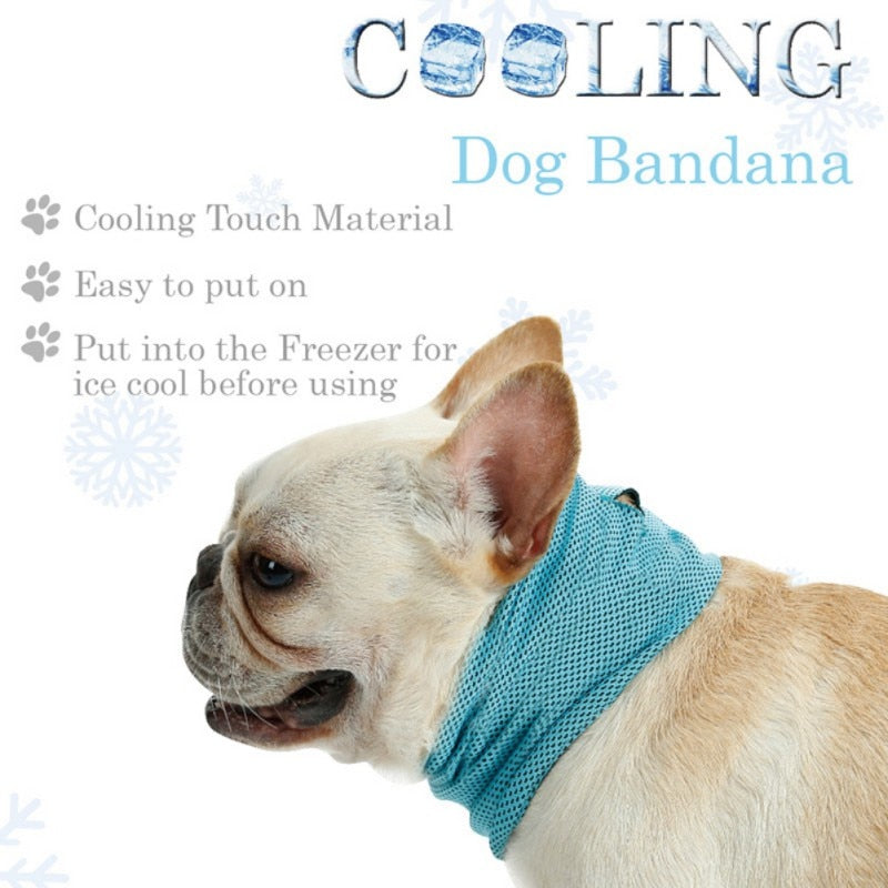 Cooling Comfort Dog Bandana