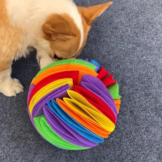 Paw Interactive Forage Snuffle Ball