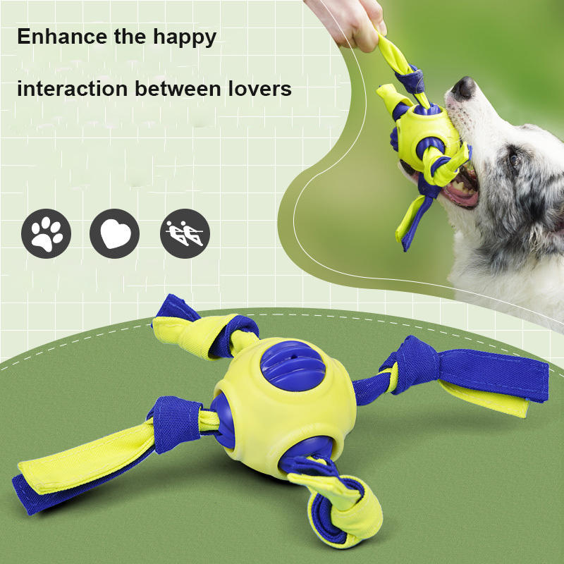Interactive Dental Toy
