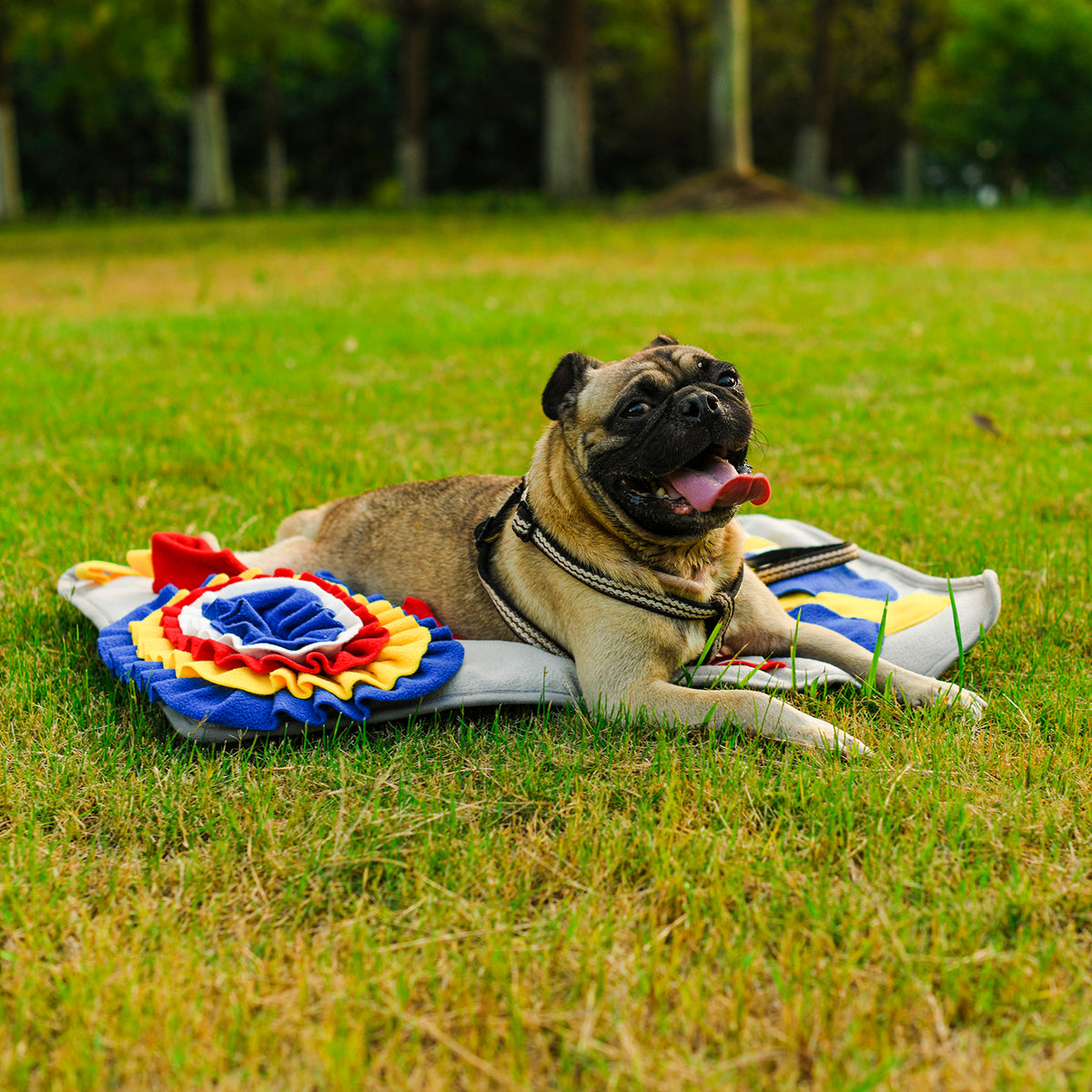 Paw Slow Food Sniffing Pad