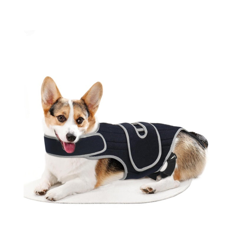 Paw Support Recovery Vest
