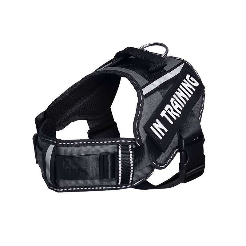 Reflective Dog Harness & Leash