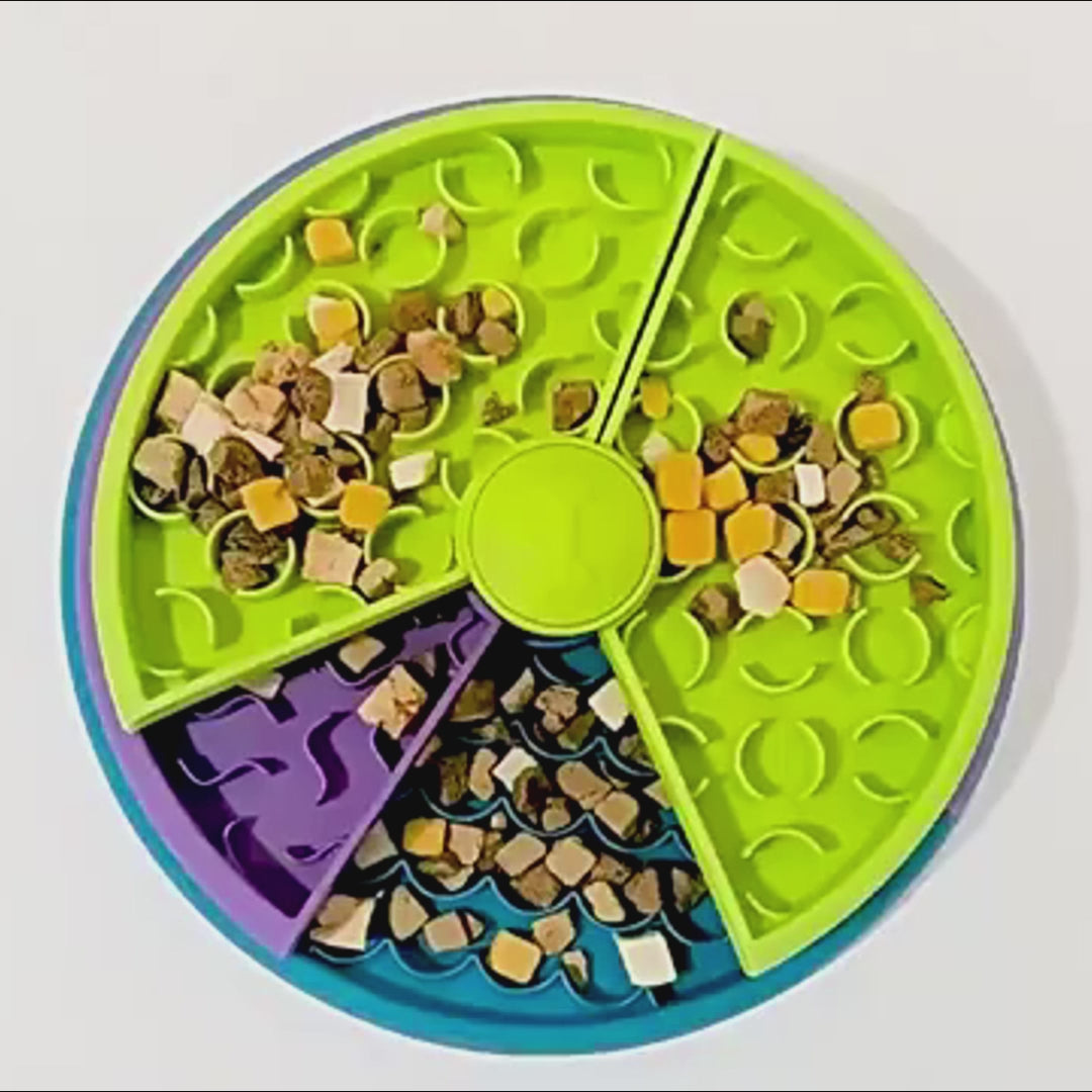 A dog eating from the three-layer Daily Calm Bowl slow feeder